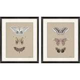 Paragon Beauty of the Forest S/2 Beige 32 X 26 X 1 Wall Art