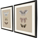 Paragon Beauty of the Forest S/2 Beige 32 X 26 X 1 Wall Art