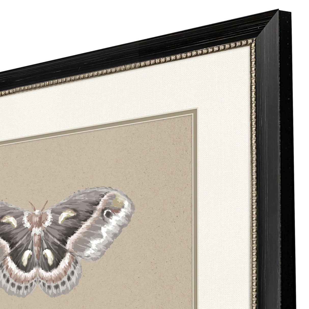 Paragon Beauty of the Forest S/2 Beige 32 X 26 X 1 Wall Art