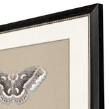 Paragon Beauty of the Forest S/2 Beige 32 X 26 X 1 Wall Art