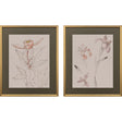 Paragon Delicate Sketch II S/2 Pink 31 X 25 X 2 Wall Art