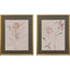 Paragon Delicate Sketch II S/2 Pink 31 X 25 X 2 Wall Art