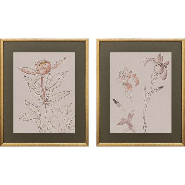 Paragon Delicate Sketch II S/2 Pink 31 X 25 X 2 Wall Art