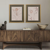 Paragon Delicate Sketch II S/2 Pink 31 X 25 X 2 Wall Art