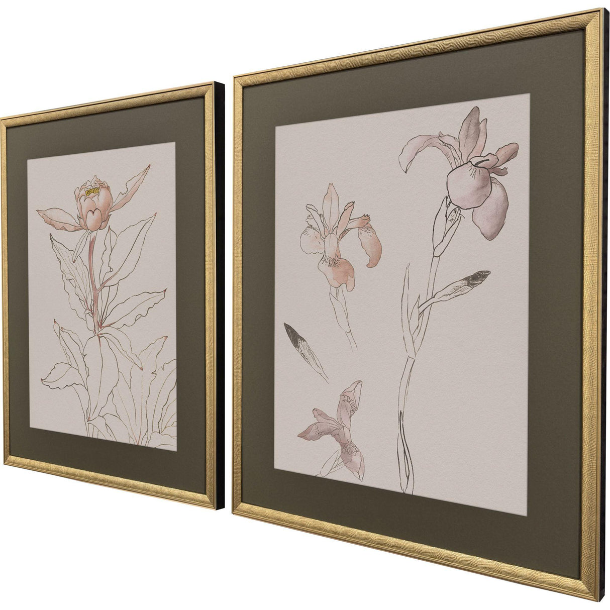Paragon Delicate Sketch II S/2 Pink 31 X 25 X 2 Wall Art