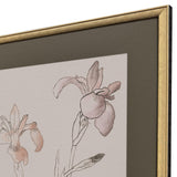 Paragon Delicate Sketch II S/2 Pink 31 X 25 X 2 Wall Art