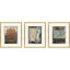 Paragon Textural Echo I S/3 Multi 25 X 21 X 2 Wall Art