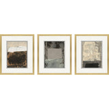 Paragon Textural Echo III S/3 Multi 25 X 21 X 2 Wall Art