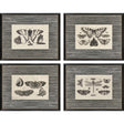 Paragon Anthropod Collection S/4 Black 23 X 29 X 1 Wall Art