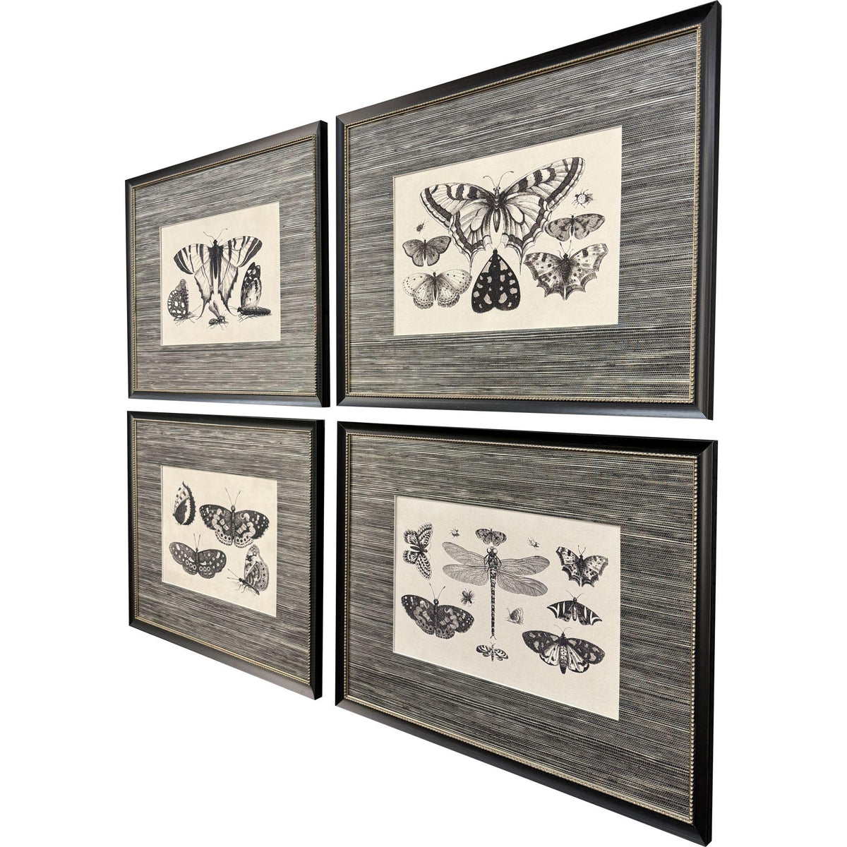Paragon Anthropod Collection S/4 Black 23 X 29 X 1 Wall Art