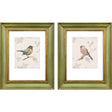 Paragon Bird Scene S/2 Green 21 X 17 X 2 Wall Art