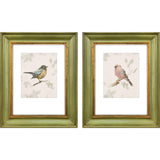 Paragon Bird Scene S/2 Green 21 X 17 X 2 Wall Art
