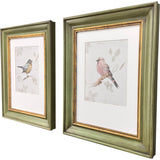 Paragon Bird Scene S/2 Green 21 X 17 X 2 Wall Art