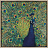 Paragon Peacock Plumage Blue 38 X 38 X 3 Wall Art