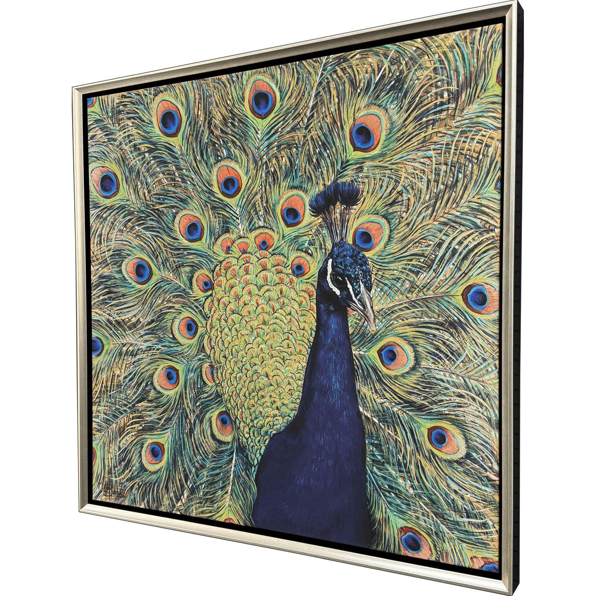 Paragon Peacock Plumage Blue 38 X 38 X 3 Wall Art