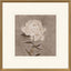 Paragon Pretty as a Peony I Beige 34 X 34 X 2 Wall Art