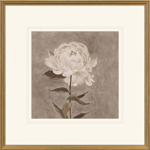 Paragon Pretty as a Peony I Beige 34 X 34 X 2 Wall Art