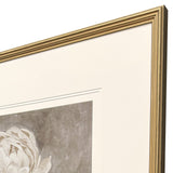 Paragon Pretty as a Peony I Beige 34 X 34 X 2 Wall Art