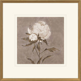 Paragon Pretty as a Peony II Beige 34 X 34 X 2 Wall Art