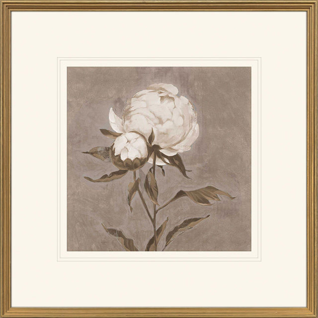 Paragon Pretty as a Peony II Beige 34 X 34 X 2 Wall Art