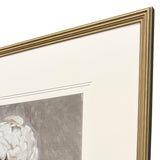 Paragon Pretty as a Peony II Beige 34 X 34 X 2 Wall Art
