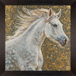 Paragon Dapple Dream Gray 41 X 41 X 2 Wall Art