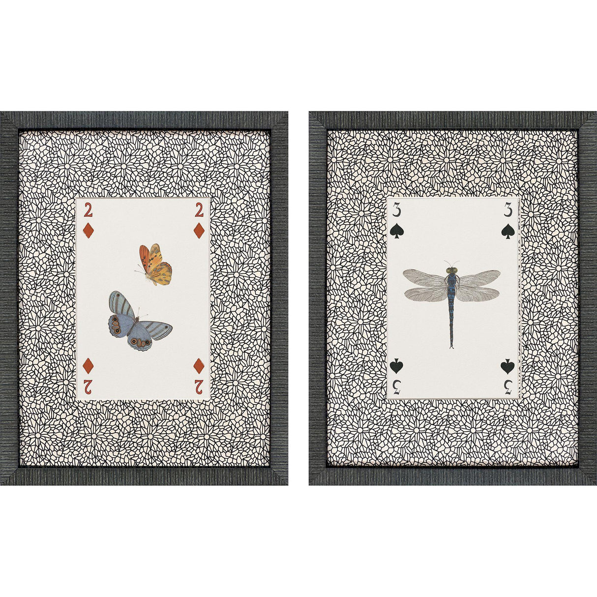 Paragon Nature's Hand I S/2 Black 22 X 17 X 2 Wall Art
