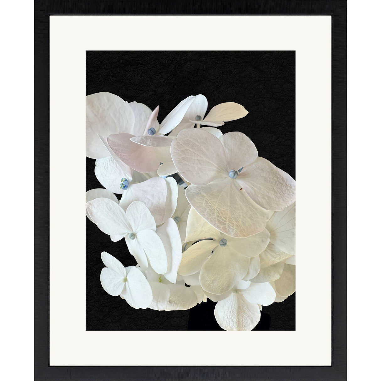 Paragon Modern Hydrangea I White 43 X 35 X 2 Wall Art