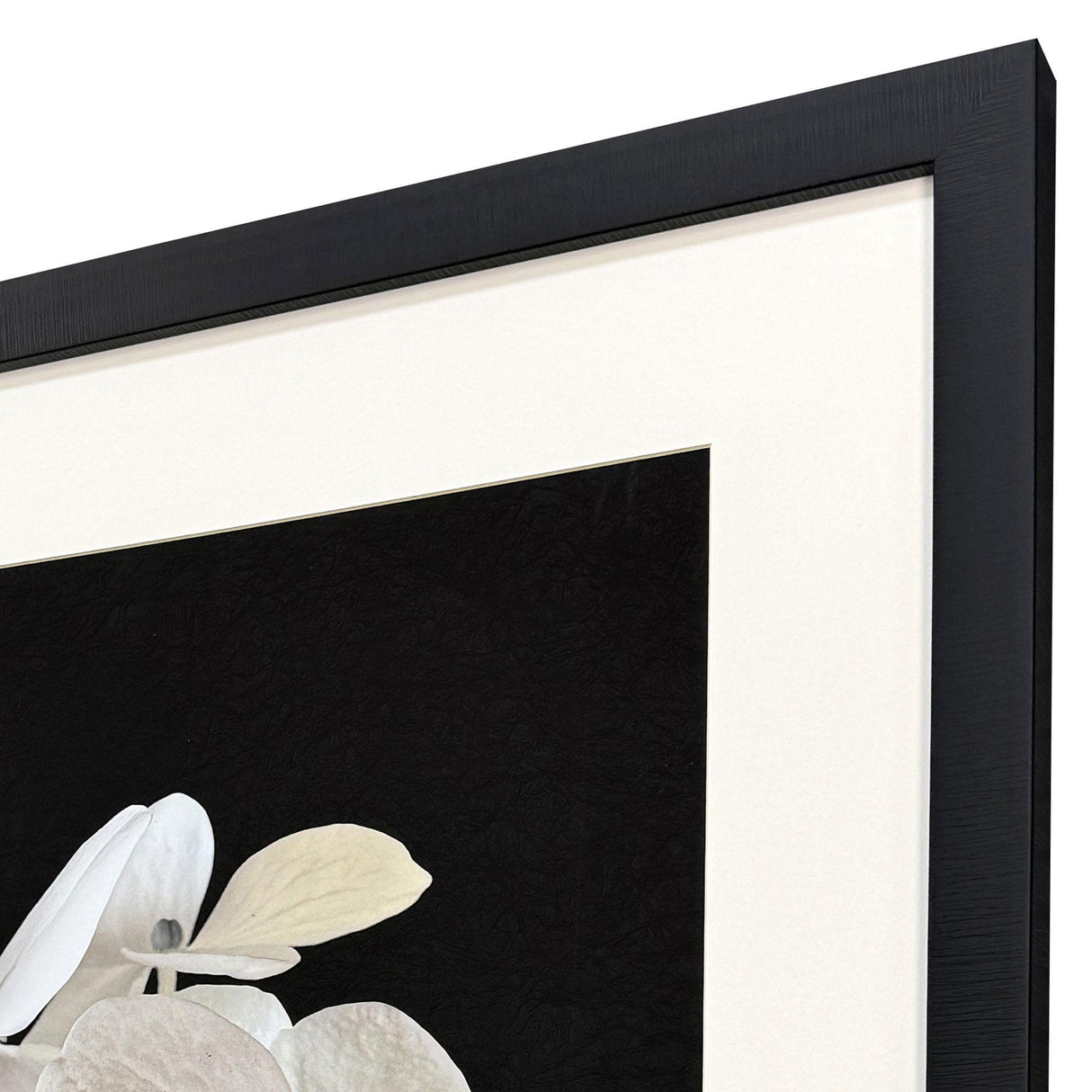 Paragon Modern Hydrangea I White 43 X 35 X 2 Wall Art