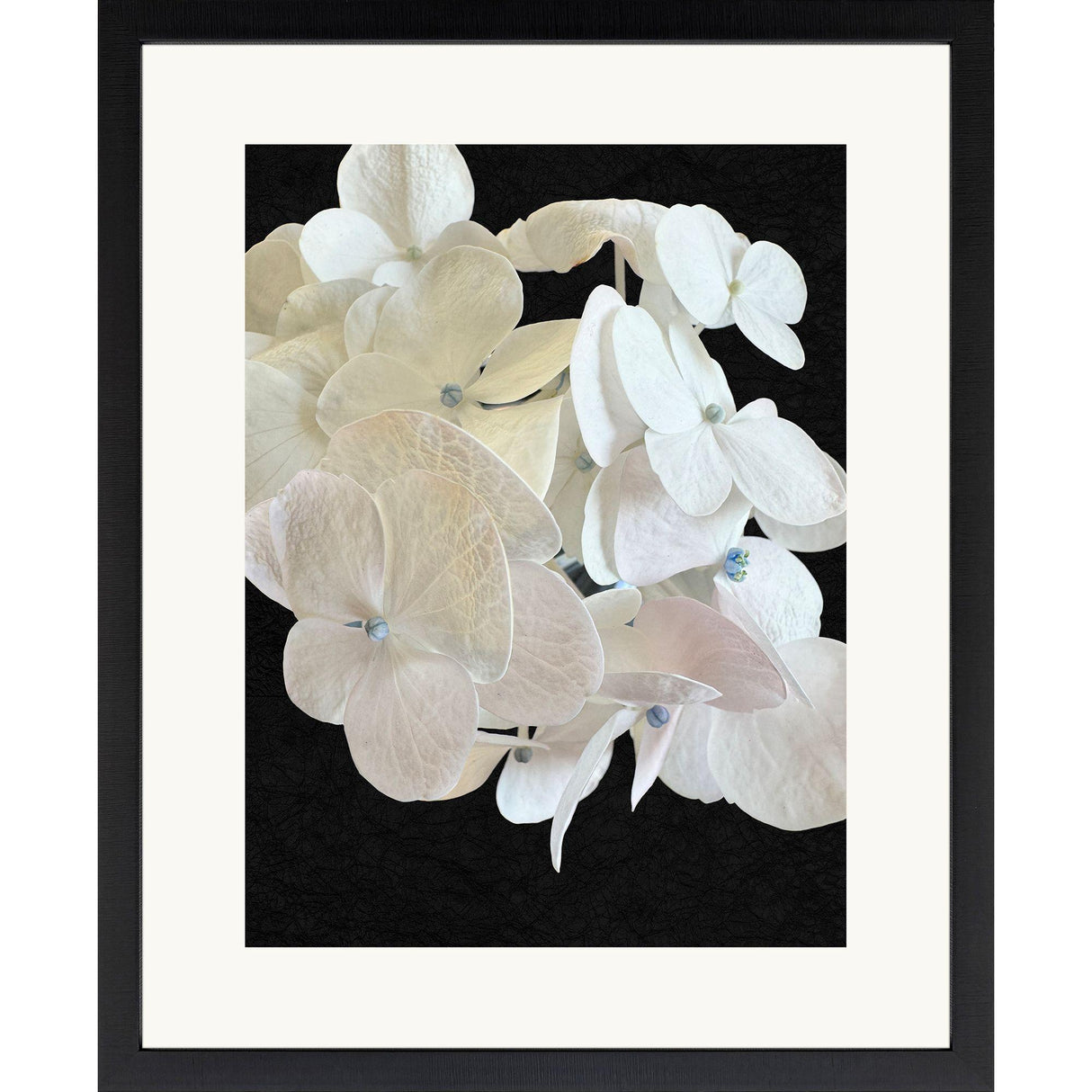 Paragon Modern Hydrangea II White 43 X 35 X 2 Wall Art