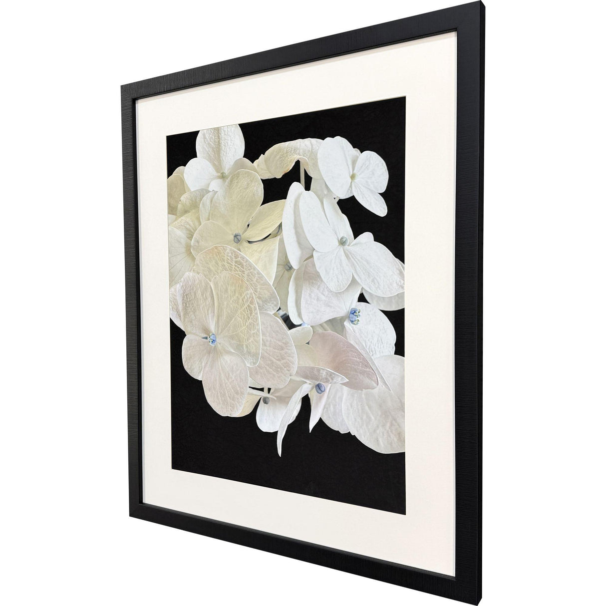 Paragon Modern Hydrangea II White 43 X 35 X 2 Wall Art