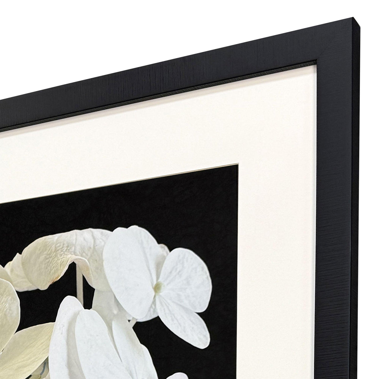 Paragon Modern Hydrangea II White 43 X 35 X 2 Wall Art