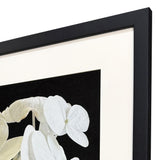 Paragon Modern Hydrangea II White 43 X 35 X 2 Wall Art