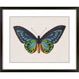 Paragon Garden Visitor I Multi 28 X 34 X 1 Wall Art