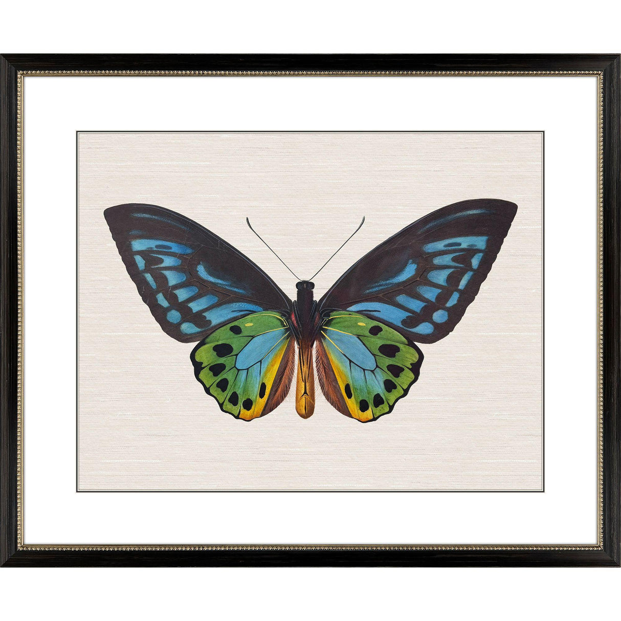 Paragon Garden Visitor I Multi 28 X 34 X 1 Wall Art