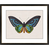 Paragon Garden Visitor I Multi 28 X 34 X 1 Wall Art