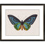 Paragon Garden Visitor I Multi 28 X 34 X 1 Wall Art