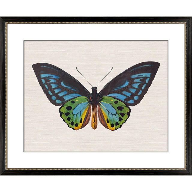 Paragon Garden Visitor I Multi 28 X 34 X 1 Wall Art