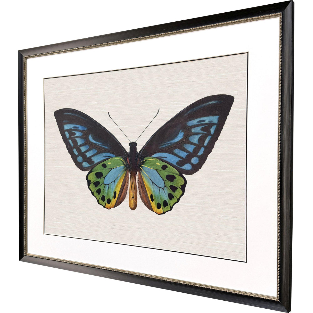 Paragon Garden Visitor I Multi 28 X 34 X 1 Wall Art