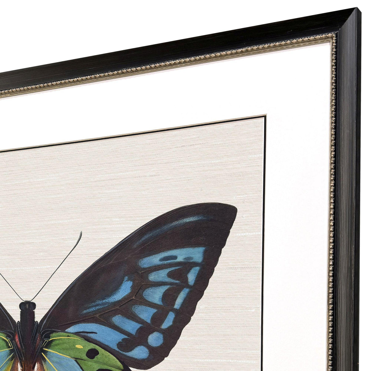 Paragon Garden Visitor I Multi 28 X 34 X 1 Wall Art