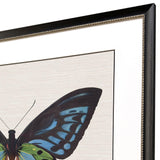 Paragon Garden Visitor I Multi 28 X 34 X 1 Wall Art