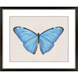 Paragon Garden Visitor II Multi 28 X 34 X 1 Wall Art