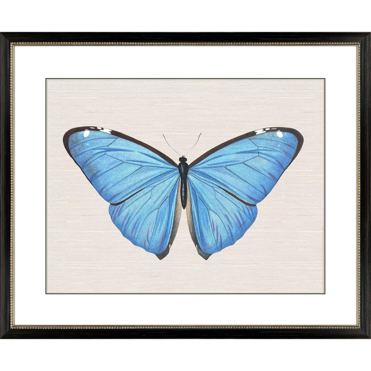 Paragon Garden Visitor II Multi 28 X 34 X 1 Wall Art