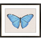 Paragon Garden Visitor II Multi 28 X 34 X 1 Wall Art