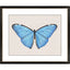 Paragon Garden Visitor II Multi 28 X 34 X 1 Wall Art