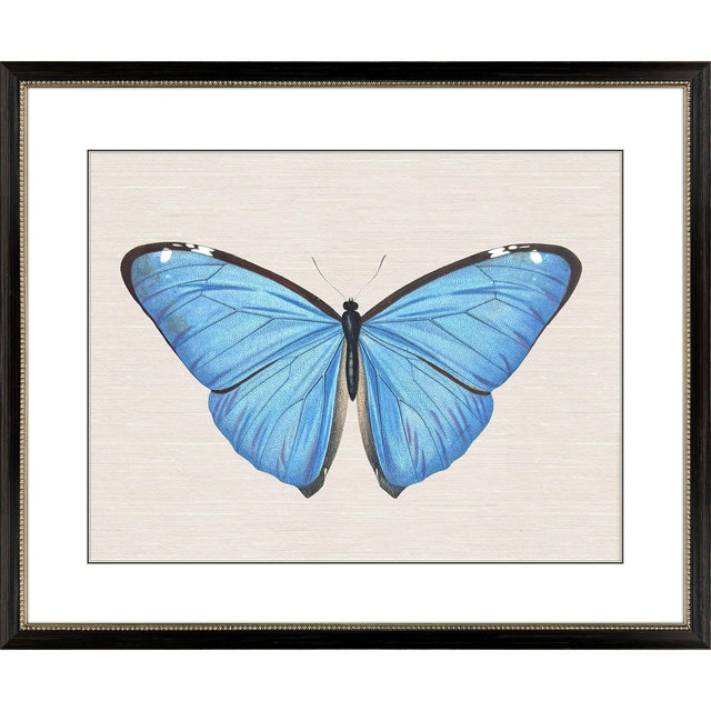 Paragon Garden Visitor II Multi 28 X 34 X 1 Wall Art