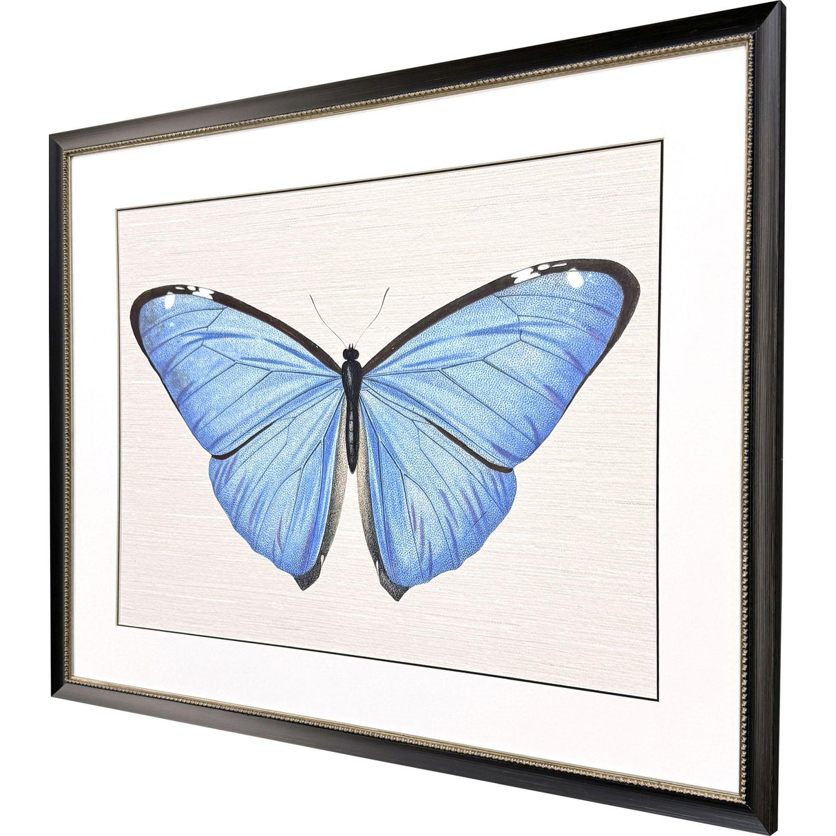 Paragon Garden Visitor II Multi 28 X 34 X 1 Wall Art