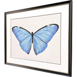Paragon Garden Visitor II Multi 28 X 34 X 1 Wall Art