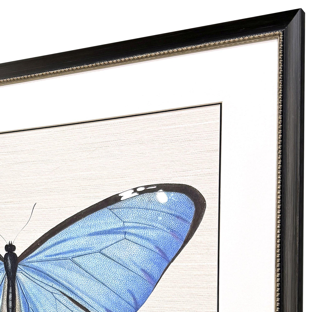Paragon Garden Visitor II Multi 28 X 34 X 1 Wall Art