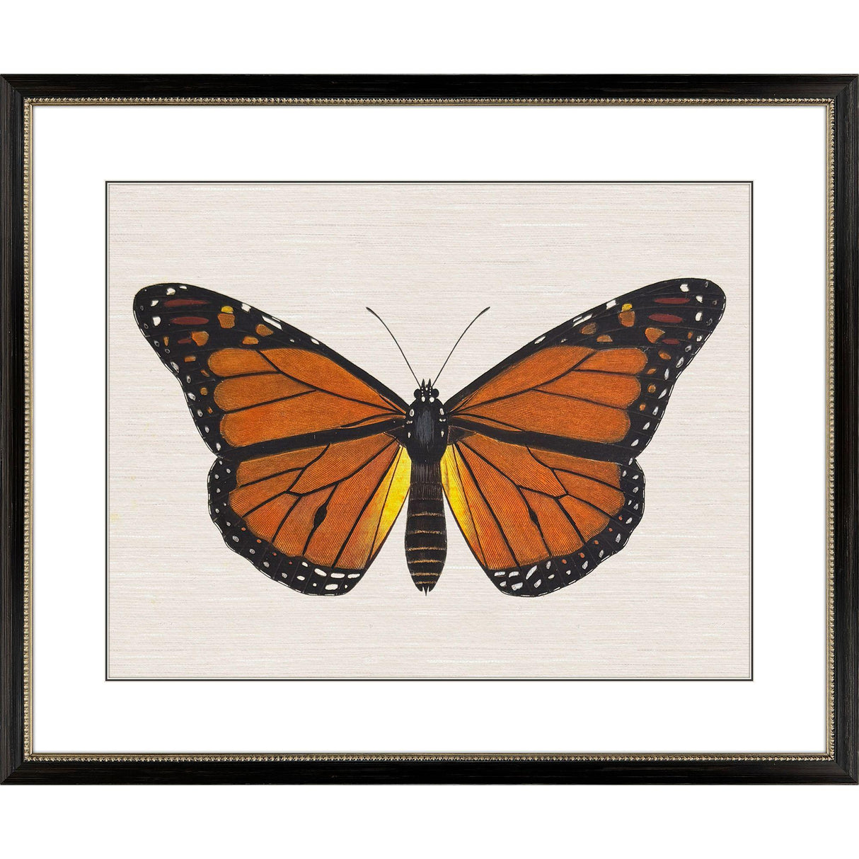 Paragon Garden Visitor III Multi 28 X 34 X 1 Wall Art